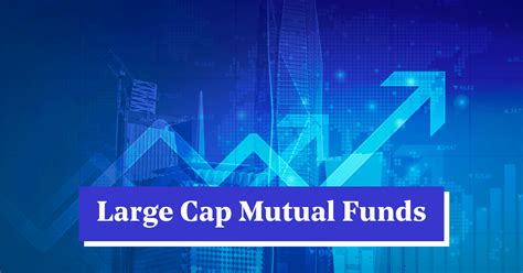 steward large cap growth fund.